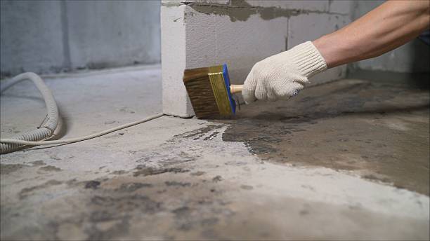 SJ Waterproofing Pros Basement Waterproofing coverage map for Albion, MI and surrounding area
